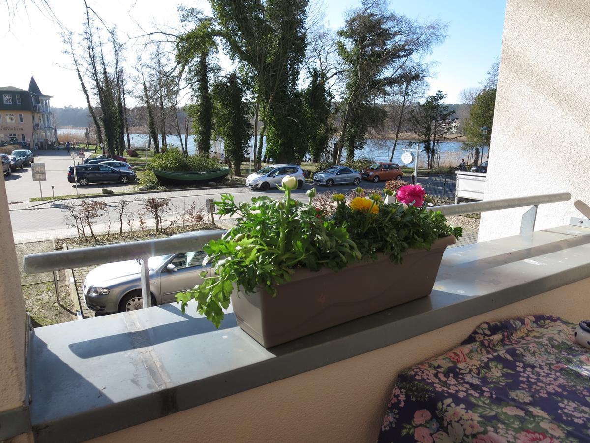 Neue Villa Ernst - Ferienwohnung 3 Heringsdorf  Exteriér fotografie